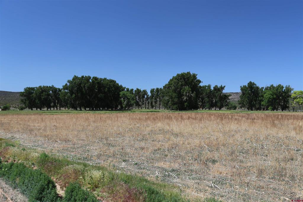 Tbd Shavano Valley Road Property Photo 1