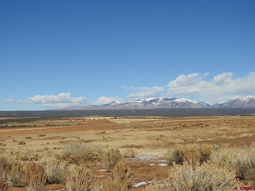 888 Crystal Acres Property Photo 3