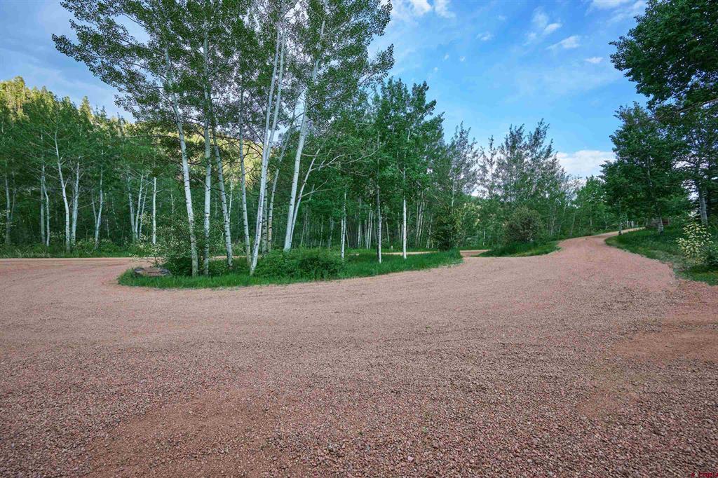1641 County Road 771 Property Photo 38