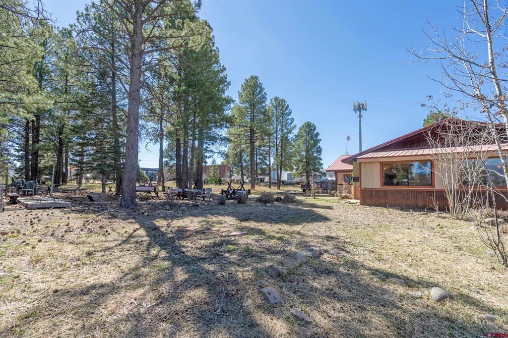 118 N Pagosa Boulevard Property Photo 13