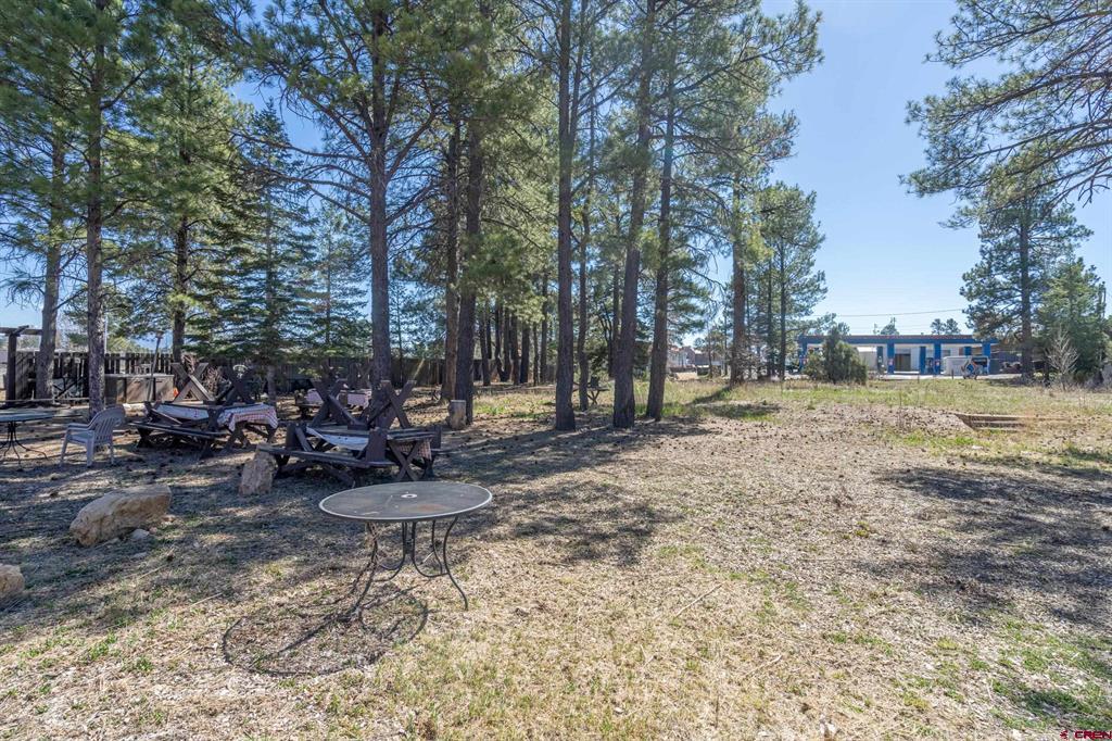 118 N Pagosa Boulevard Property Photo 14