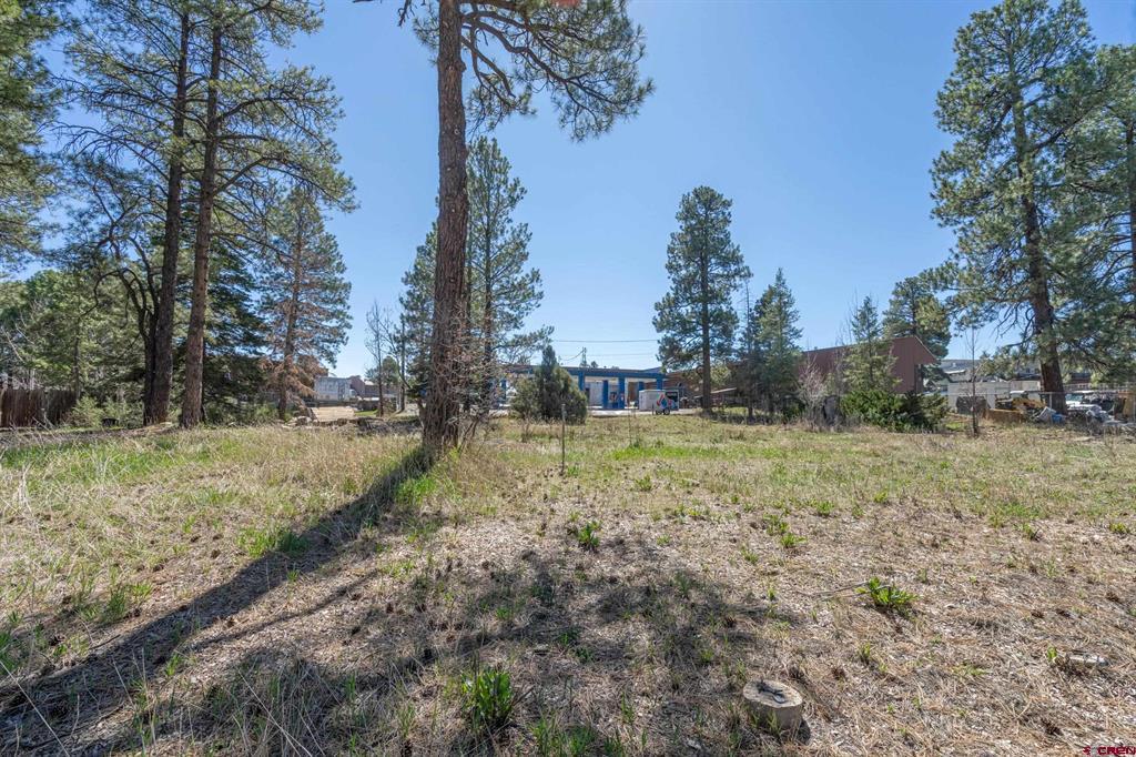 118 N Pagosa Boulevard Property Photo 15