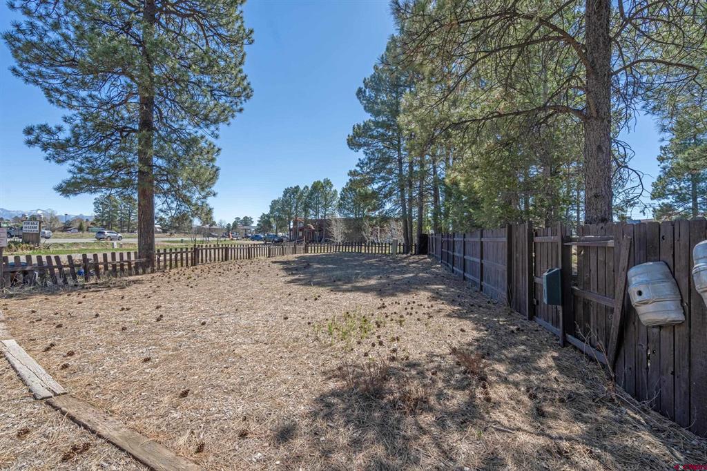 118 N Pagosa Boulevard Property Photo 16