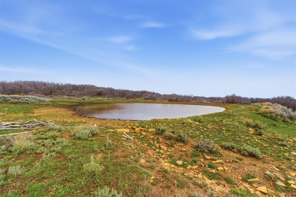 Tbd Tbd Property Photo 14