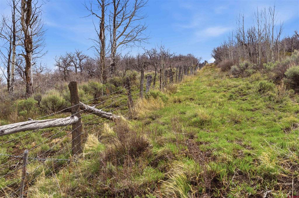 Tbd Tbd Property Photo 16