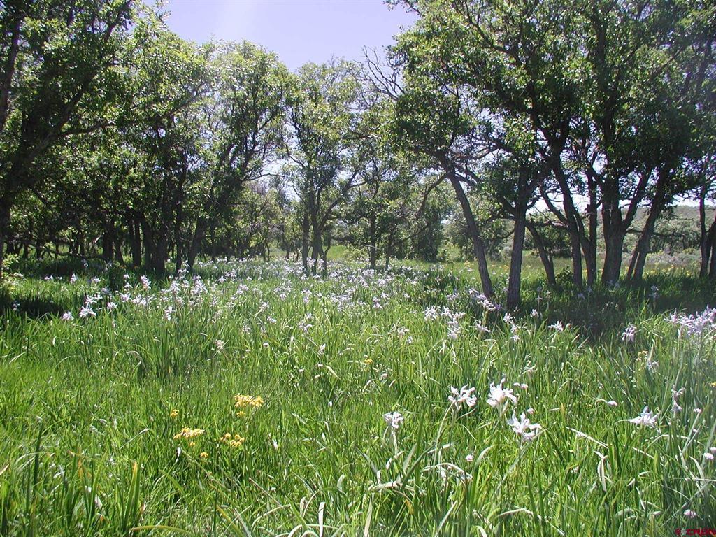 Tbd Tbd Property Photo 24