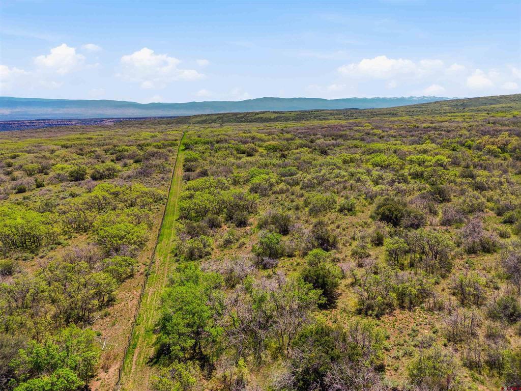 Tbd Tbd Property Photo 38