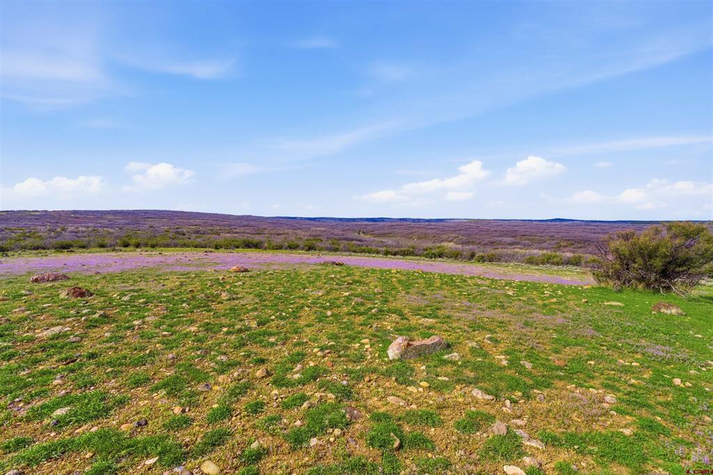 Tbd Tbd Property Photo 40