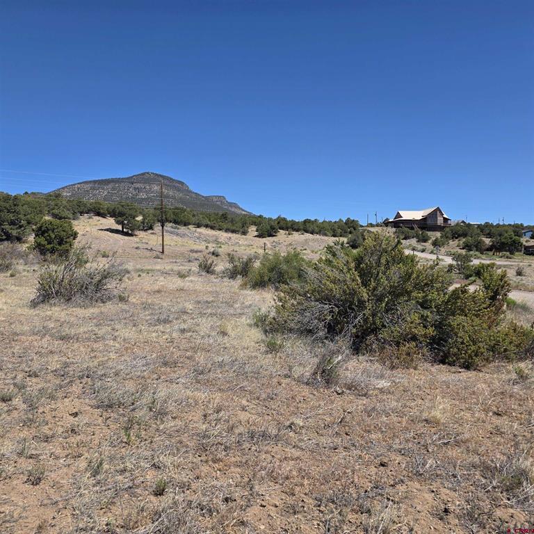 121 Neal Road Property Photo 11