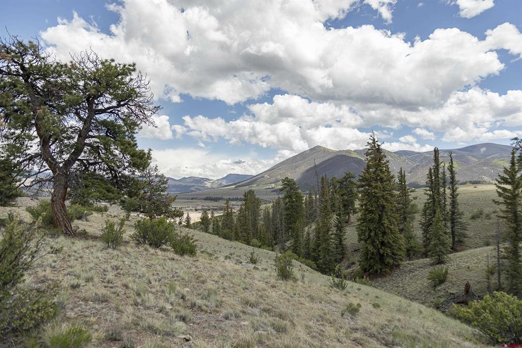 Tbd Hwy 149 (c) Highway Property Photo 6