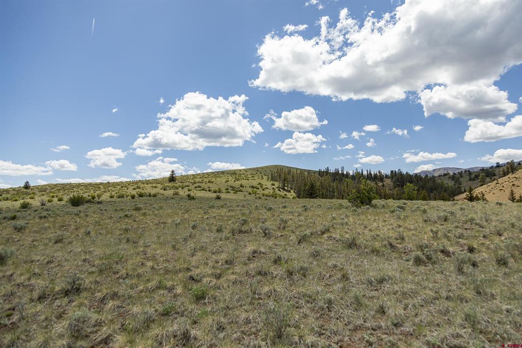 Tbd Hwy 149 (c) Highway Property Photo 9