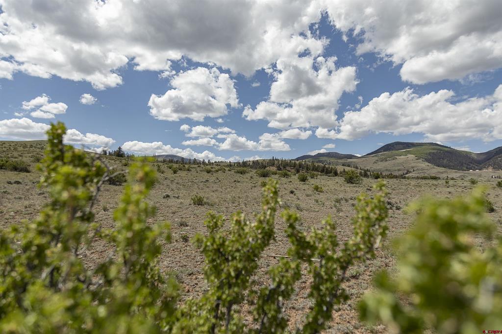 Tbd Hwy 149 (c) Highway Property Photo 16