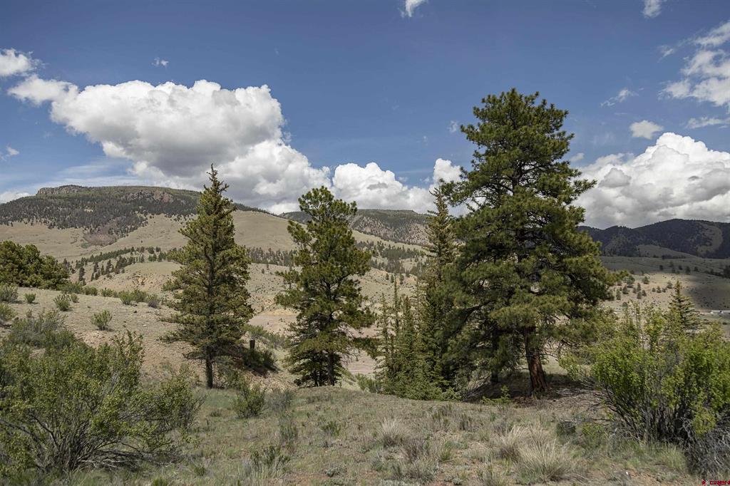 Tbd Hwy 149 (c) Highway Property Photo 17