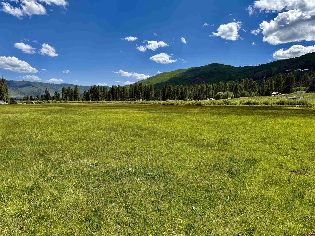 156 Golden Forest Road Property Photo 7