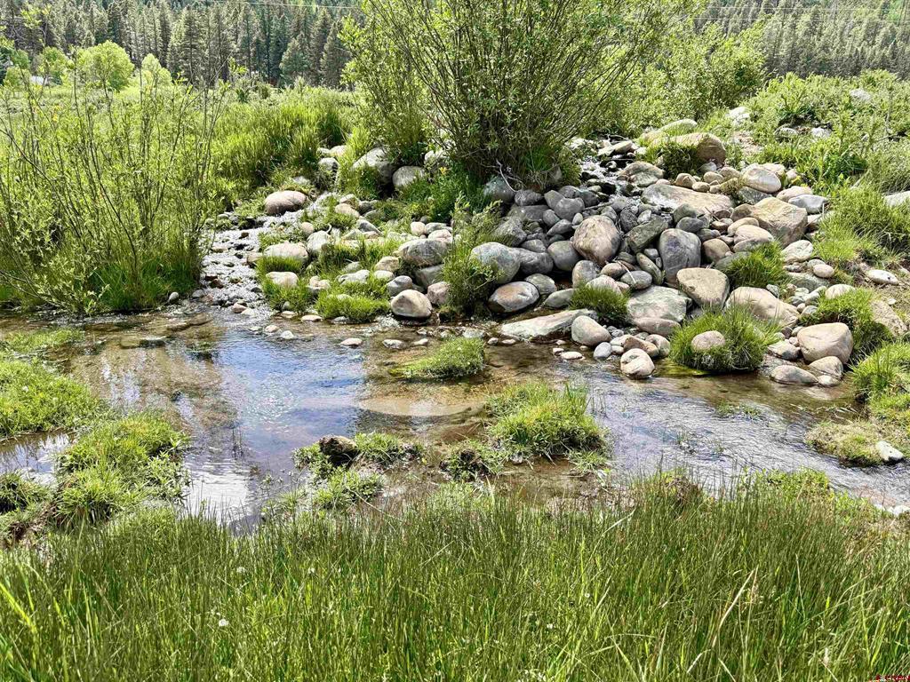 156 Golden Forest Road Property Photo 8