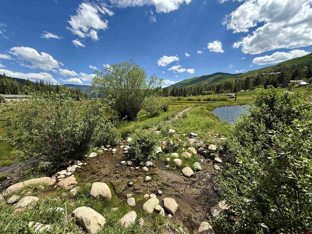 156 Golden Forest Road Property Photo 12