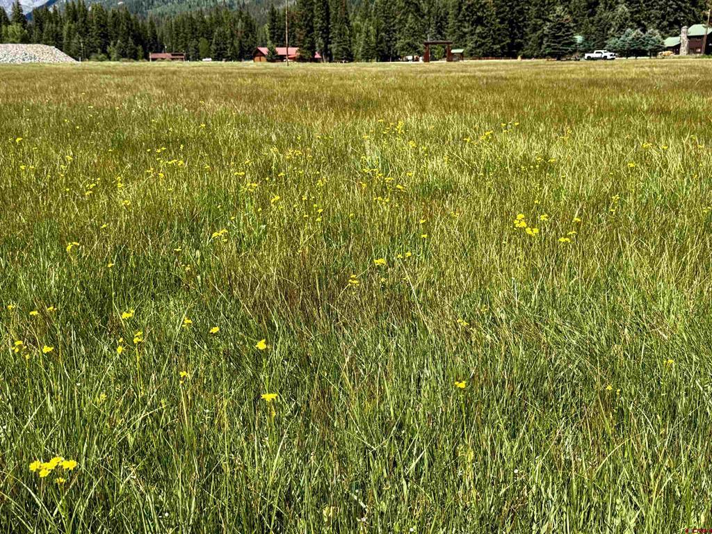 156 Golden Forest Road Property Photo 22