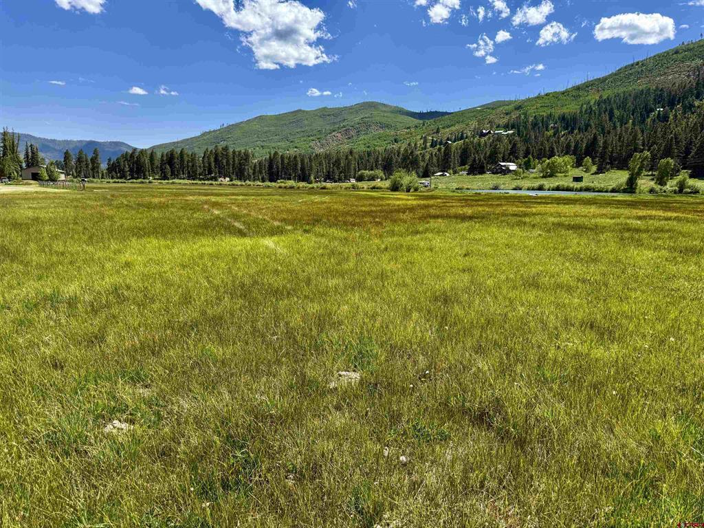 156 Golden Forest Road Property Photo 23
