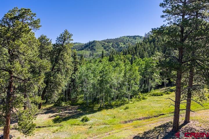 000 Us 84 Highway Property Photo 11