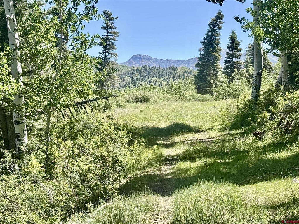 000 Us 84 Highway Property Photo 13