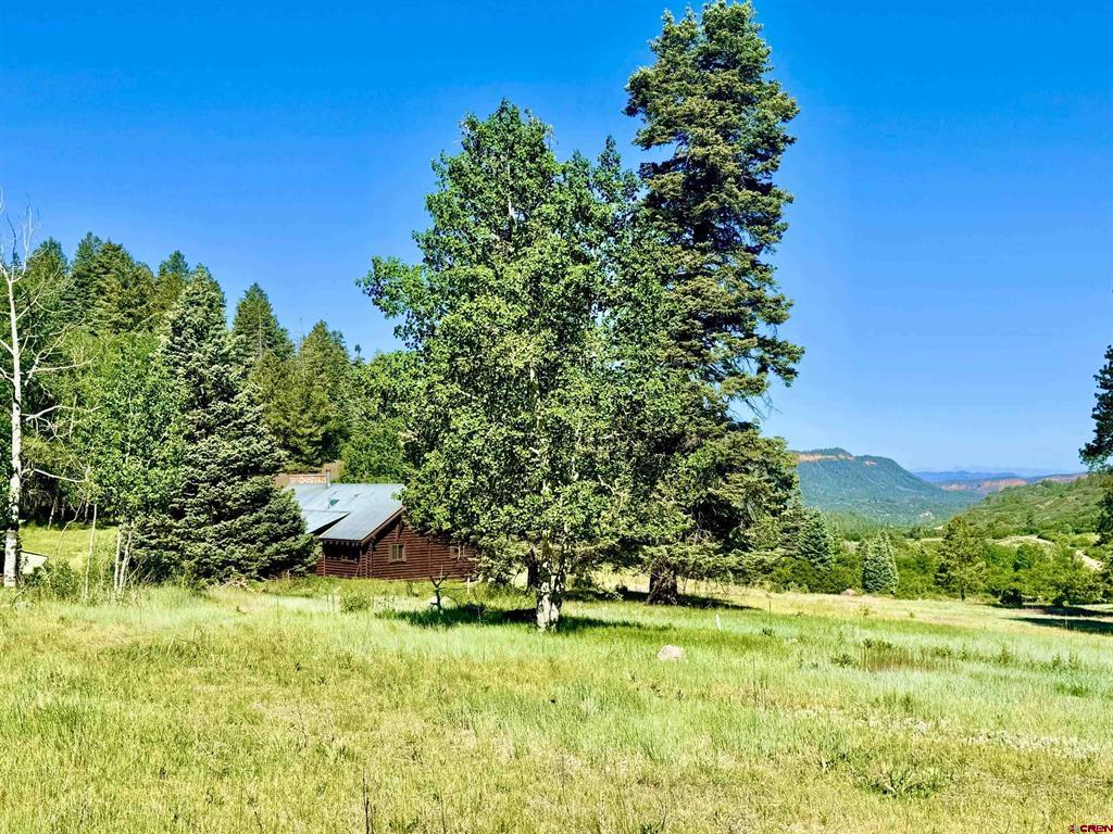 000 Us 84 Highway Property Photo 15