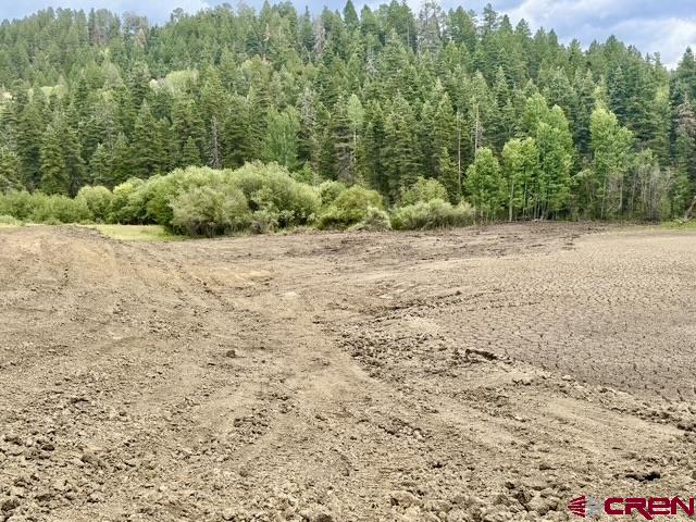 000 Us 84 Highway Property Photo 35