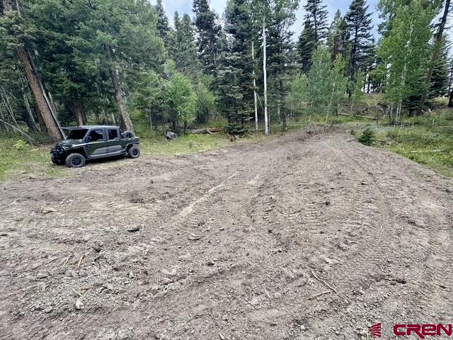 000 Us 84 Highway Property Photo 38
