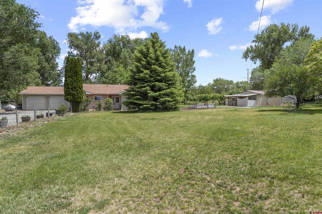 17018 Shavano Valley Road Property Photo 26