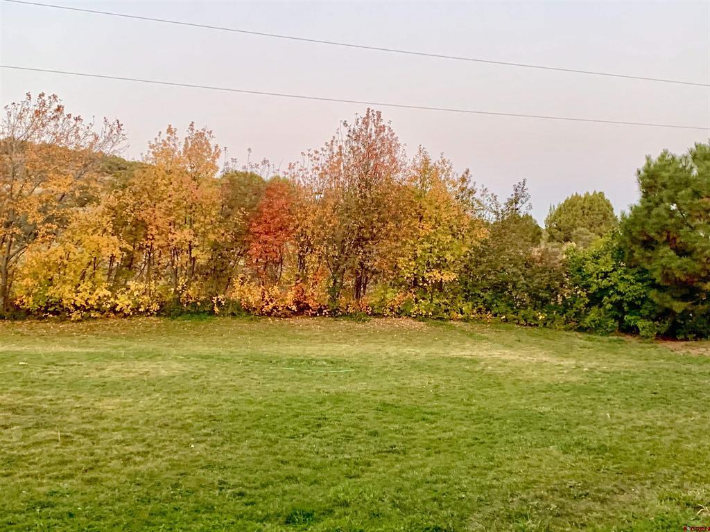 17018 Shavano Valley Road Property Photo 34