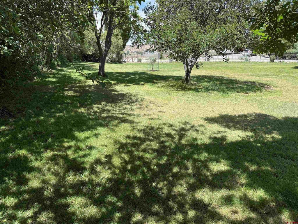 17018 Shavano Valley Road Property Photo 40