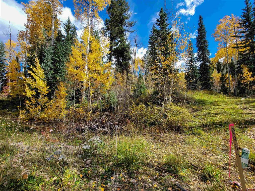 59 Engineer (lot 4) Drive Property Photo 15