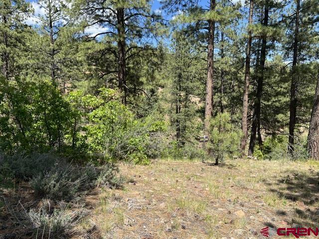 250 Copper Rim Trail Property Photo 10