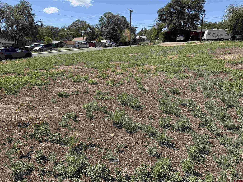Tbd S Chestnut Property Photo 3
