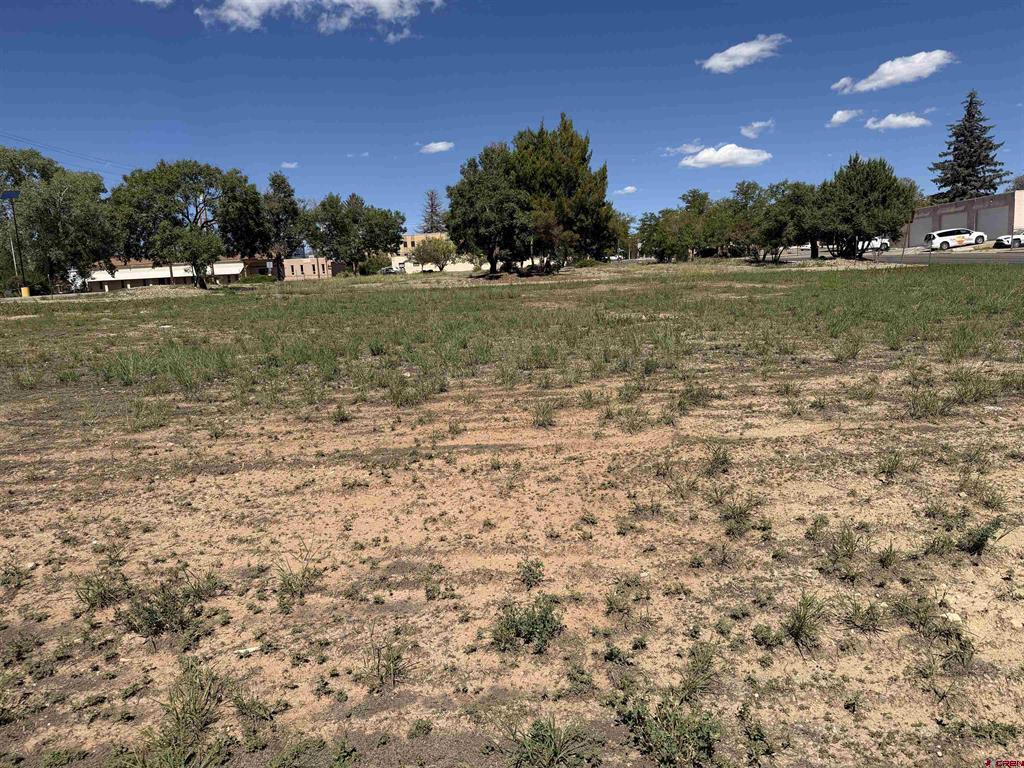 Tbd S Chestnut Property Photo 6