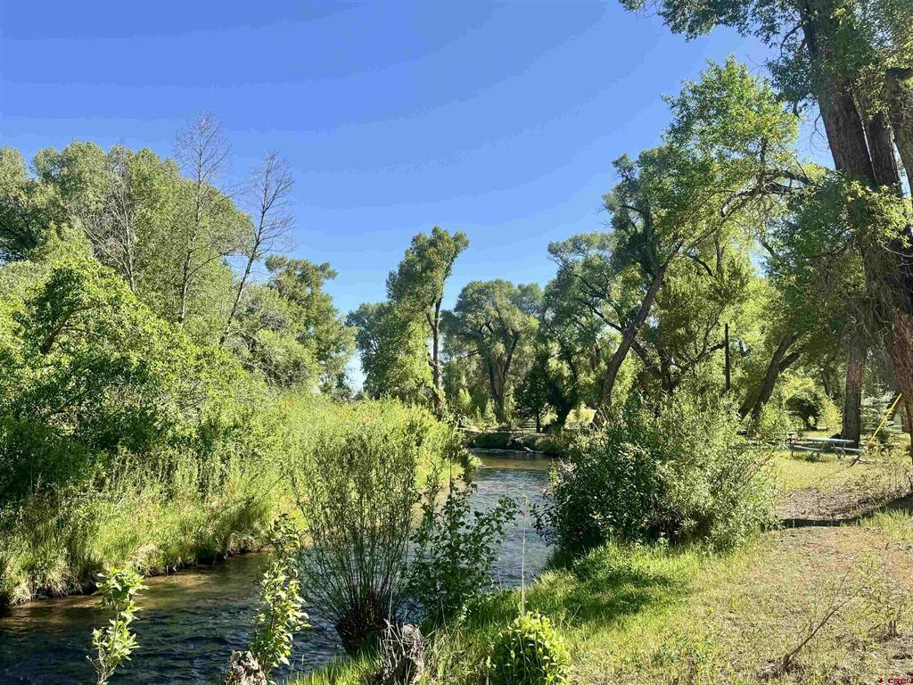 34044 State Highway 17 Property Photo 12