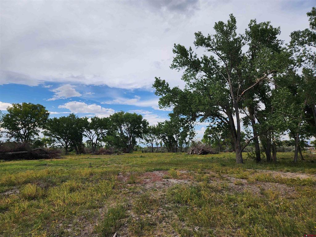 461 , 489 W Main, Spring Creek Rd & 14750 Marine Rd Property Photo 4