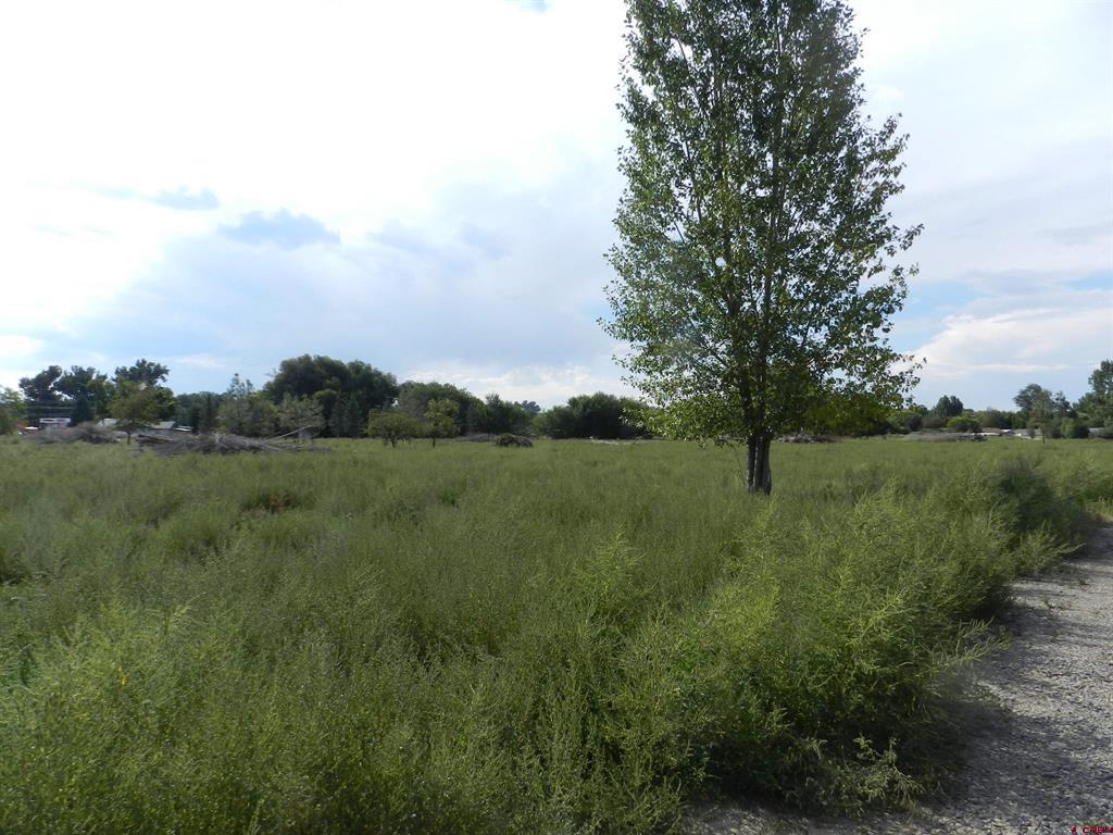 461 , 489 W Main, Spring Creek Rd & 14750 Marine Rd Property Photo 5