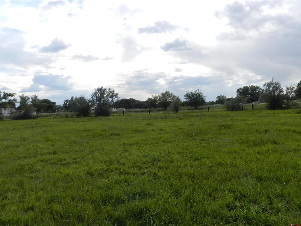 461 , 489 W Main, Spring Creek Rd & 14750 Marine Rd Property Photo 12