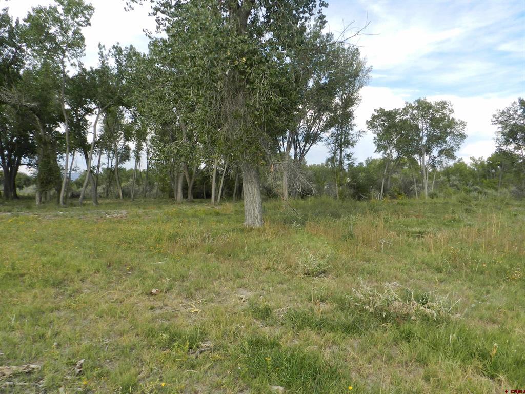 461 , 489 W Main, Spring Creek Rd & 14750 Marine Rd Property Photo 15