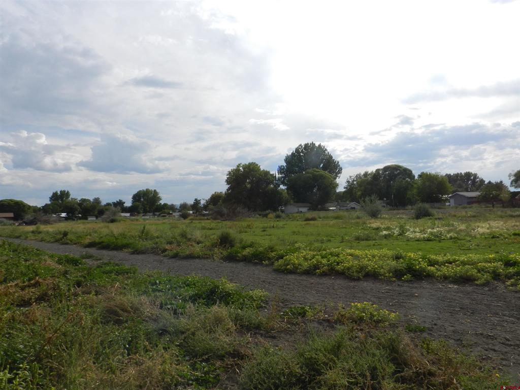 461 , 489 W Main, Spring Creek Rd & 14750 Marine Rd Property Photo 17