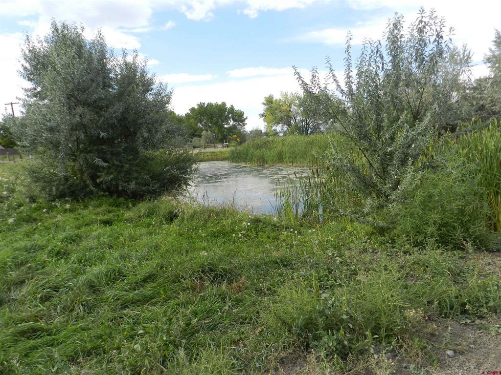 461 , 489 W Main, Spring Creek Rd & 14750 Marine Rd Property Photo 19