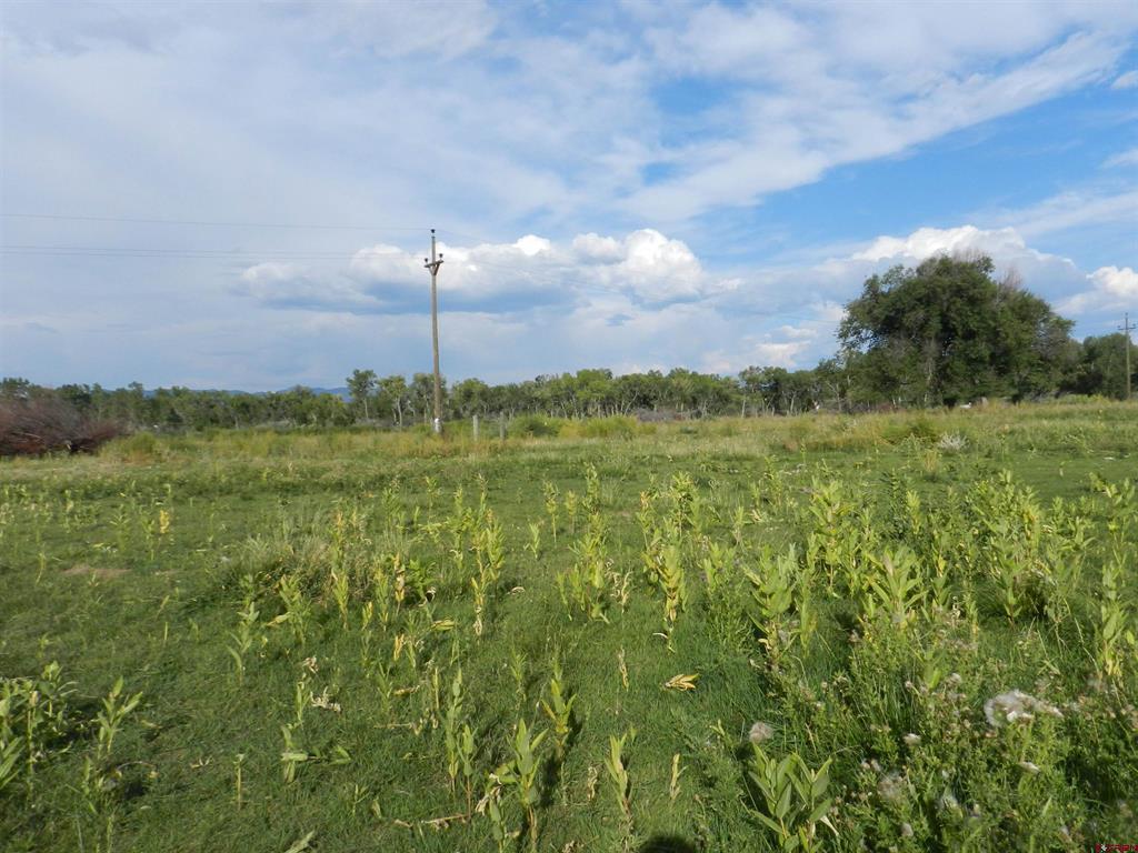 461 , 489 W Main, Spring Creek Rd & 14750 Marine Rd Property Photo 29