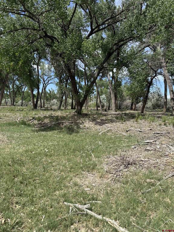 461 , 489 W Main, Spring Creek Rd & 14750 Marine Rd Property Photo 39