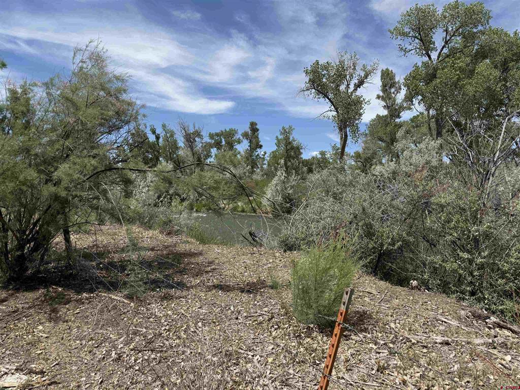 461 , 489 W Main, Spring Creek Rd & 14750 Marine Rd Property Photo 40