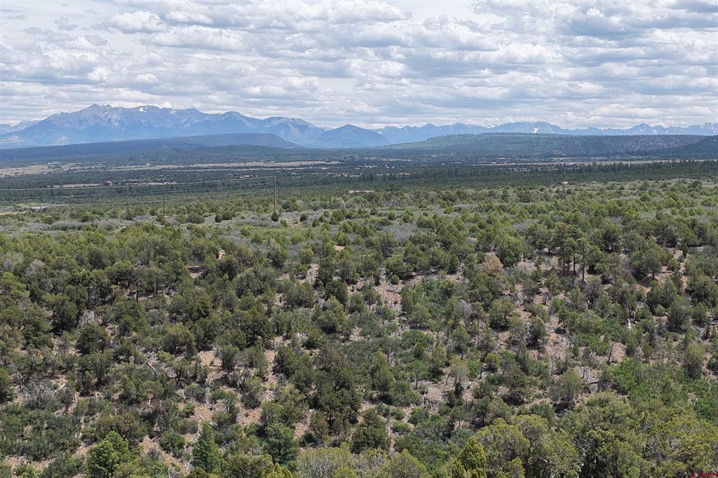 Unassigned Juniper Drive (42.2y Road) Property Photo 1