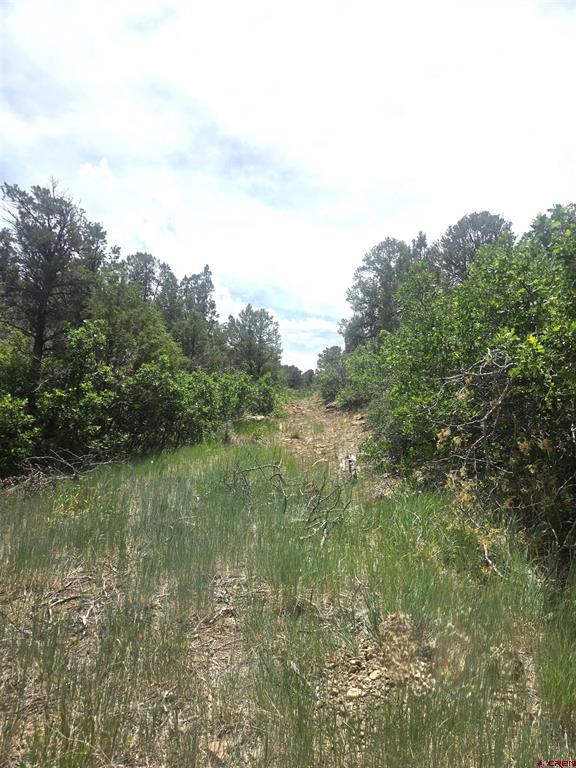 Unassigned Juniper Drive (42.2y Road) Property Photo 2