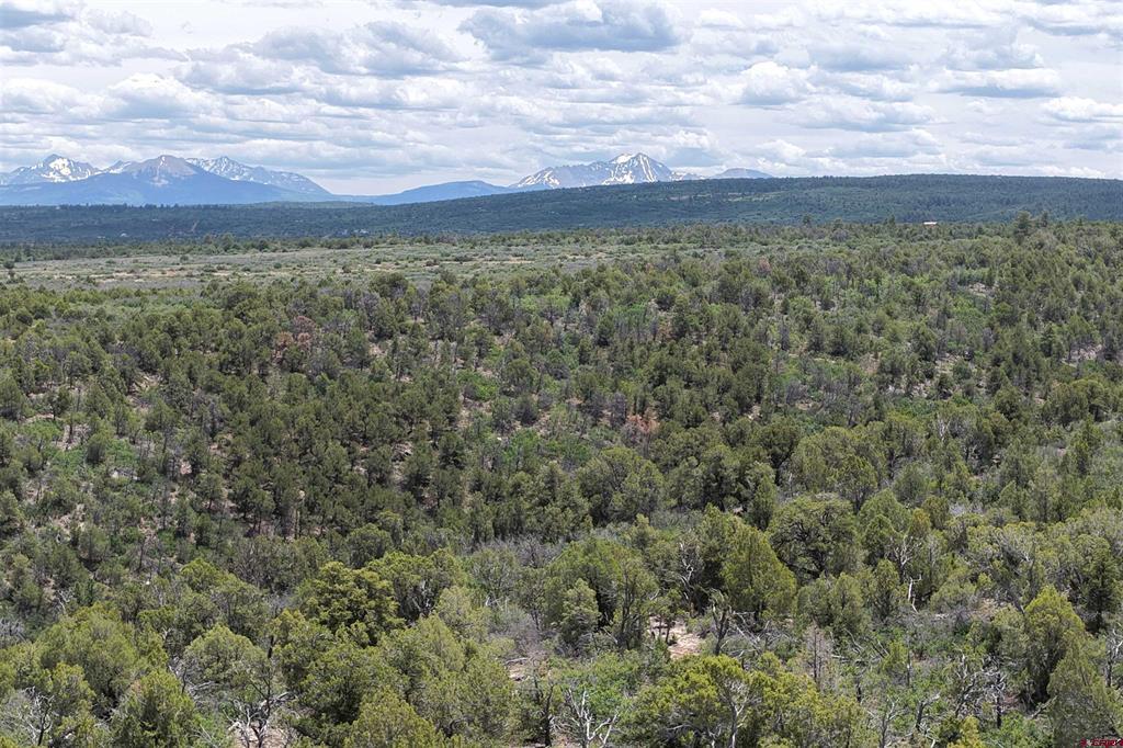 Unassigned Juniper Drive (42.2y Road) Property Photo 3