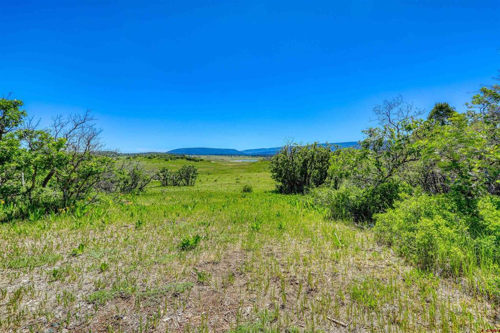 1483 Roush Drive Property Photo 40