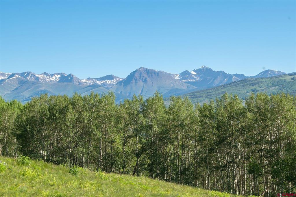 2177 Aspen Mountain Road Property Photo 10
