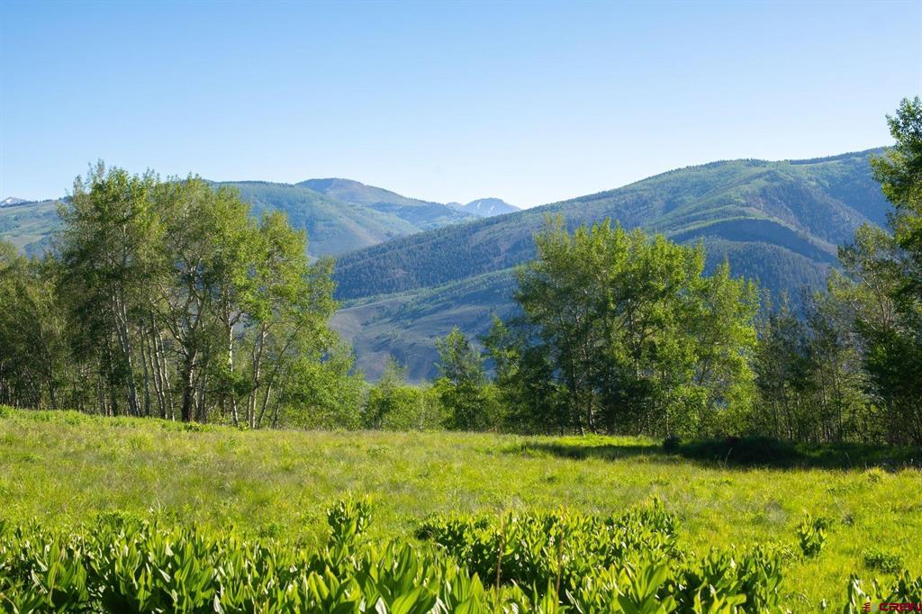 2177 Aspen Mountain Road Property Photo 13